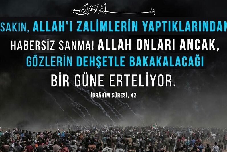 Tomurcuklar Filiz Vermeden